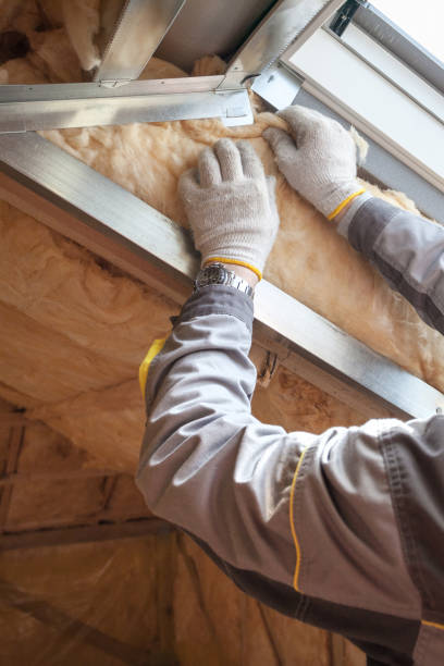 Garage Insulation Installation in Danville, IA