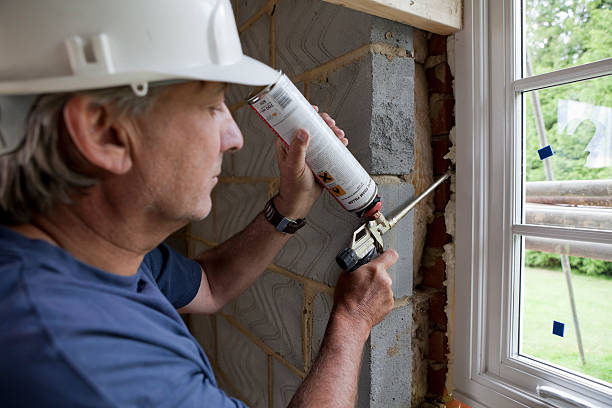 Best Local Insulation Services  in Danville, IA